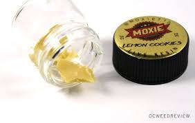concentrate-moxie-batter