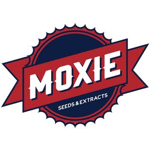 Moxie X Connected: Gelato #41