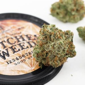 Ms Gloria - Witches Weed