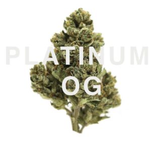 Native Seeds | Platinum OG