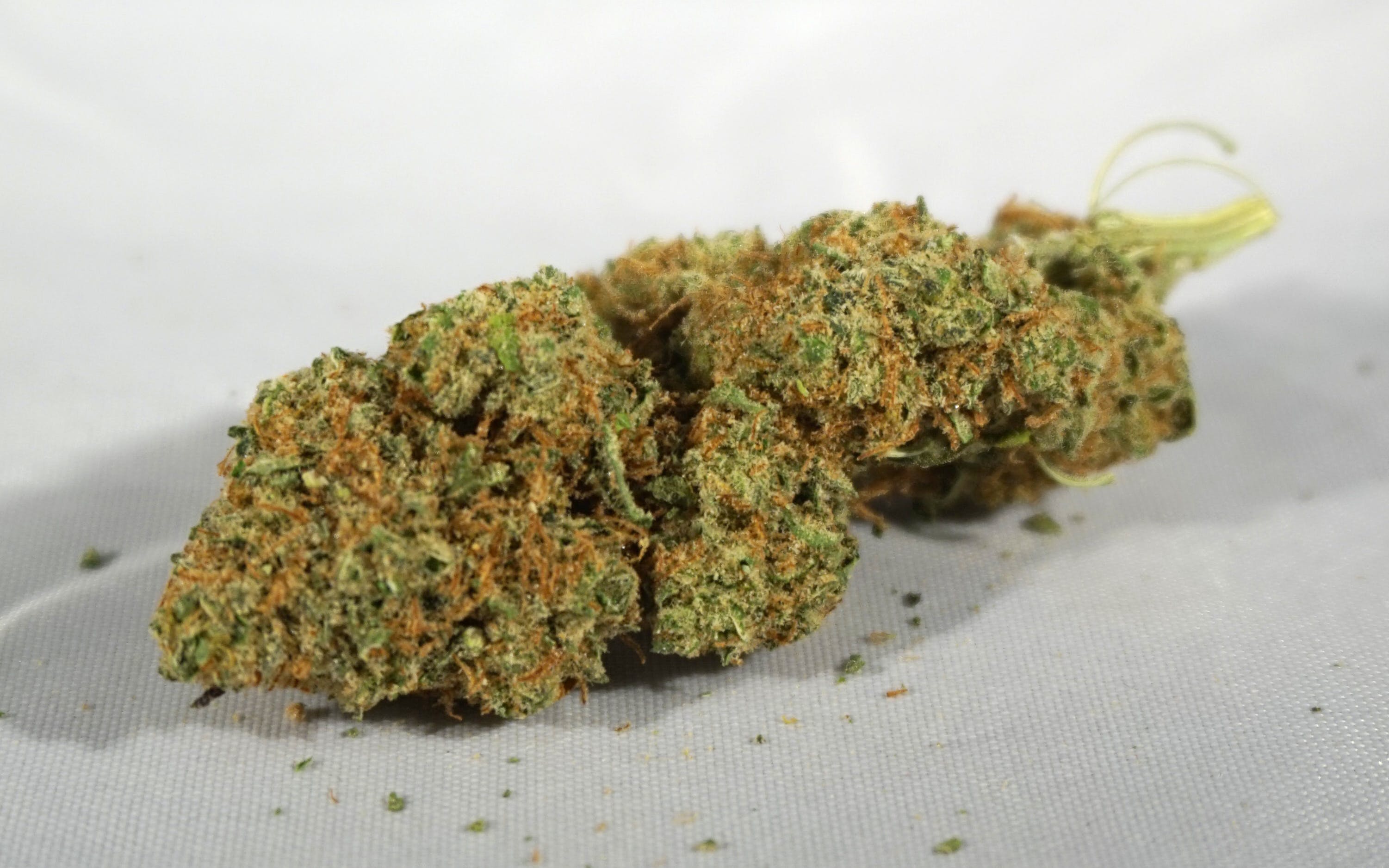 marijuana-dispensaries-trill-evolutions-medical-in-denver-nebula