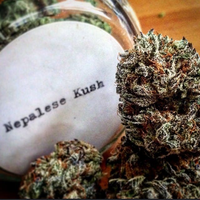 Nepalese Kush (Mindful Cannabis)