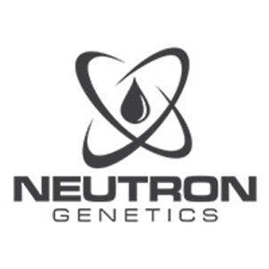 Neutron Genetics GELATO Shatter .5g