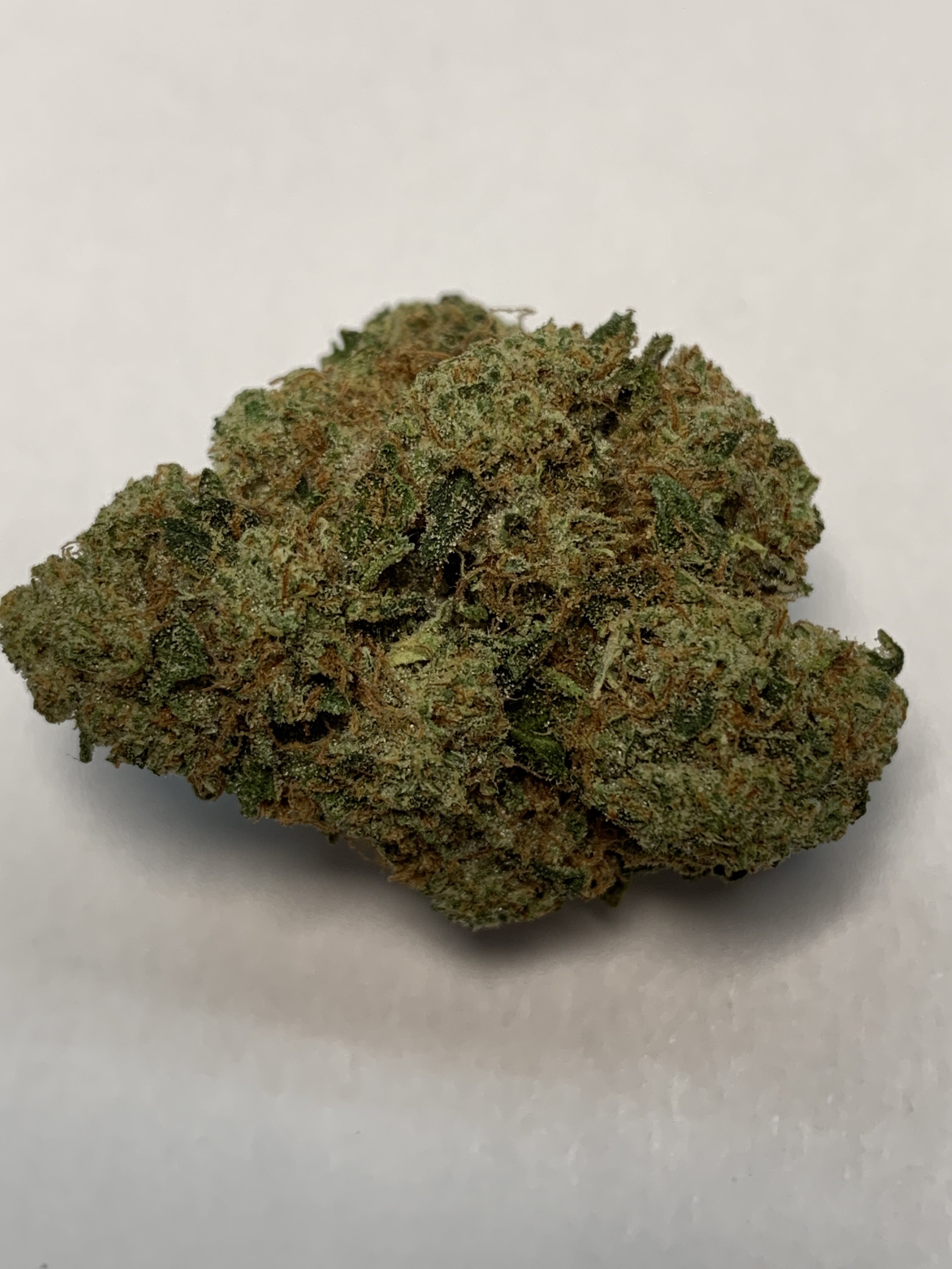indica-new-couch-lock-5g-for-2445