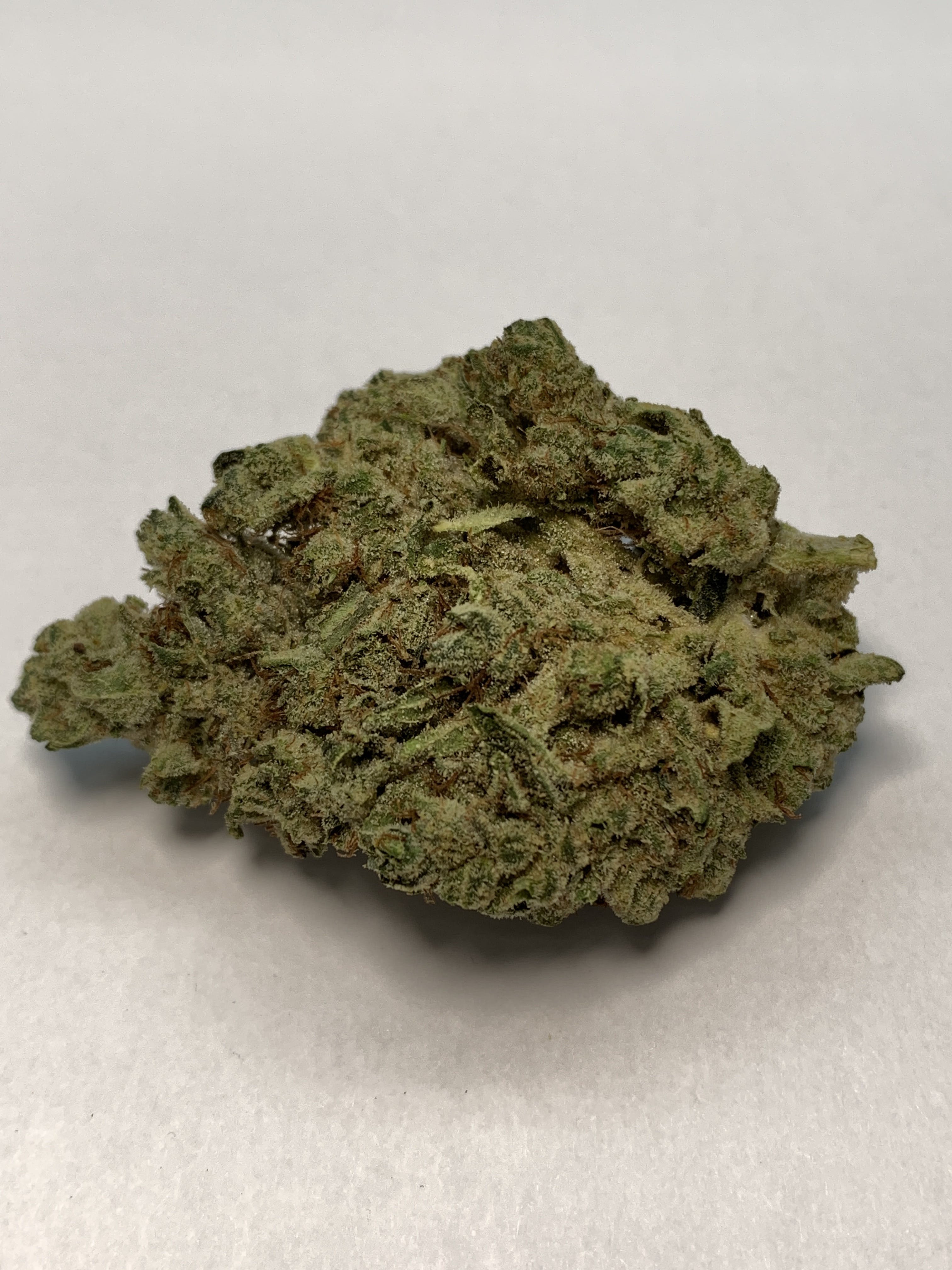 indica-new-hardcore-5g-for-2445