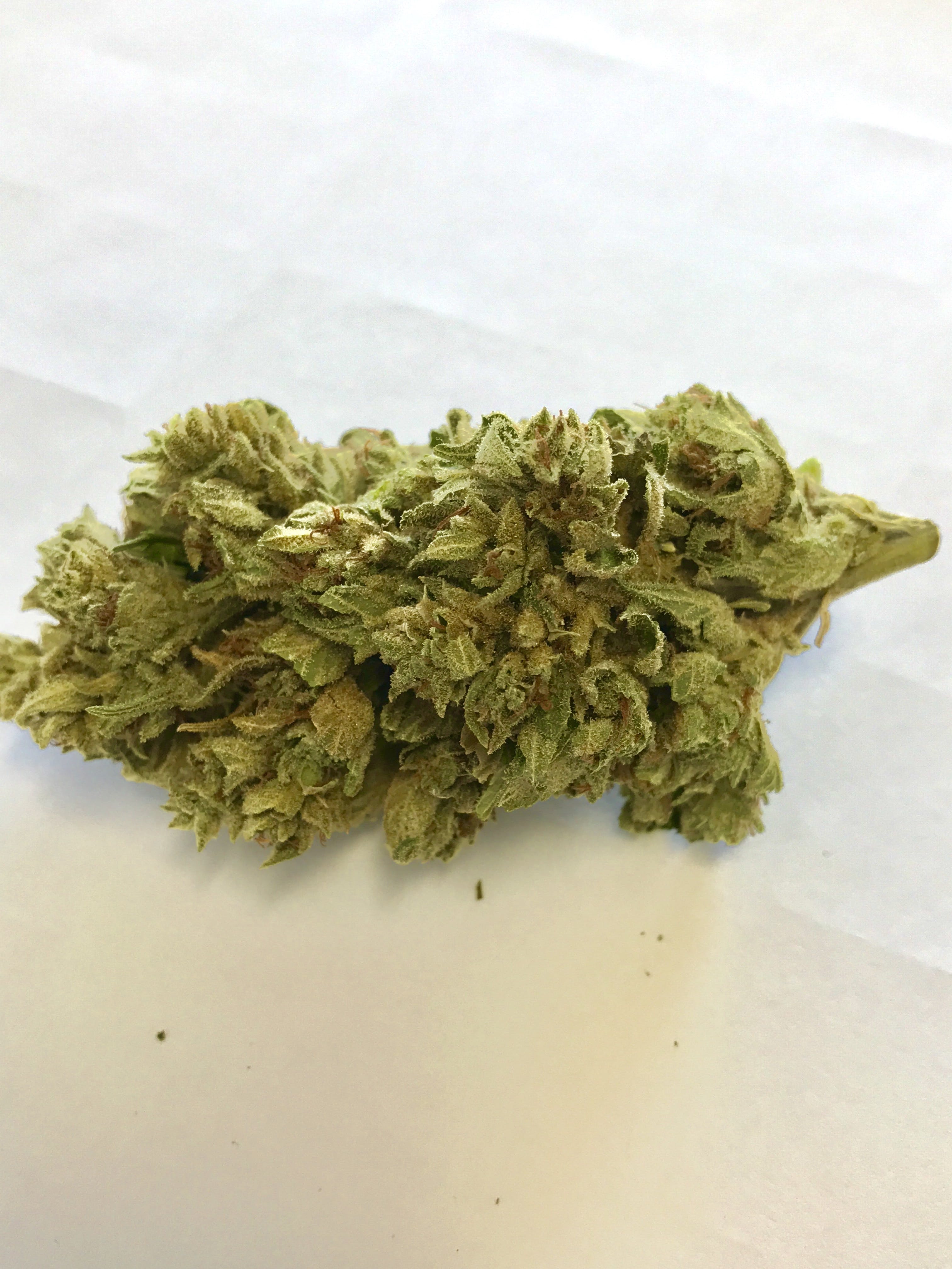 marijuana-dispensaries-924-nw-150th-street-edmond-new-leaf-medicinals-gorilla-glue-bulk-thc-flower