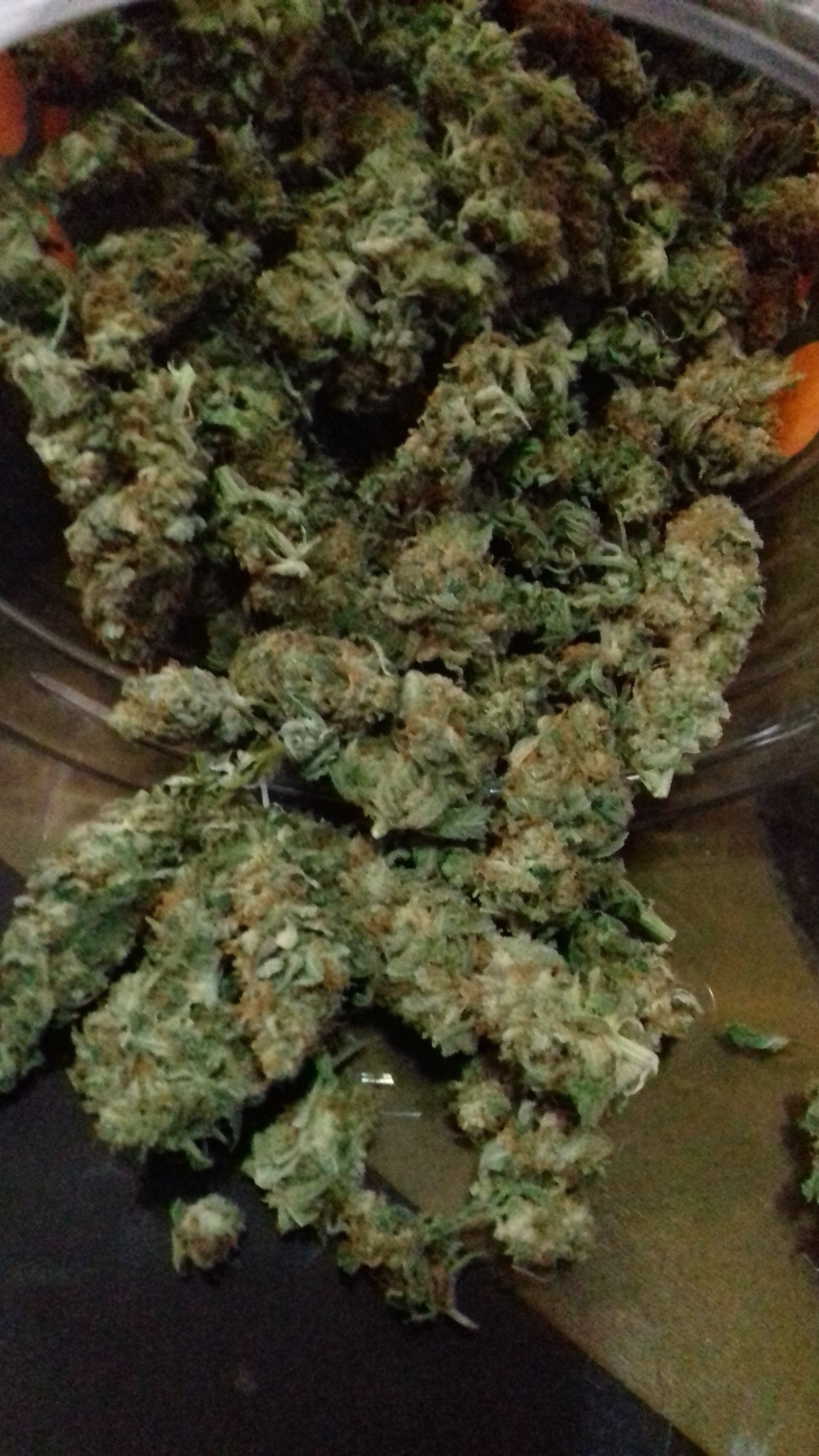 marijuana-dispensaries-punto-verde-medical-cannabis-in-fajardo-new-york-city-diesel