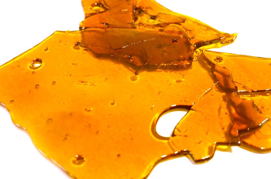 concentrate-newt-bros-shatter
