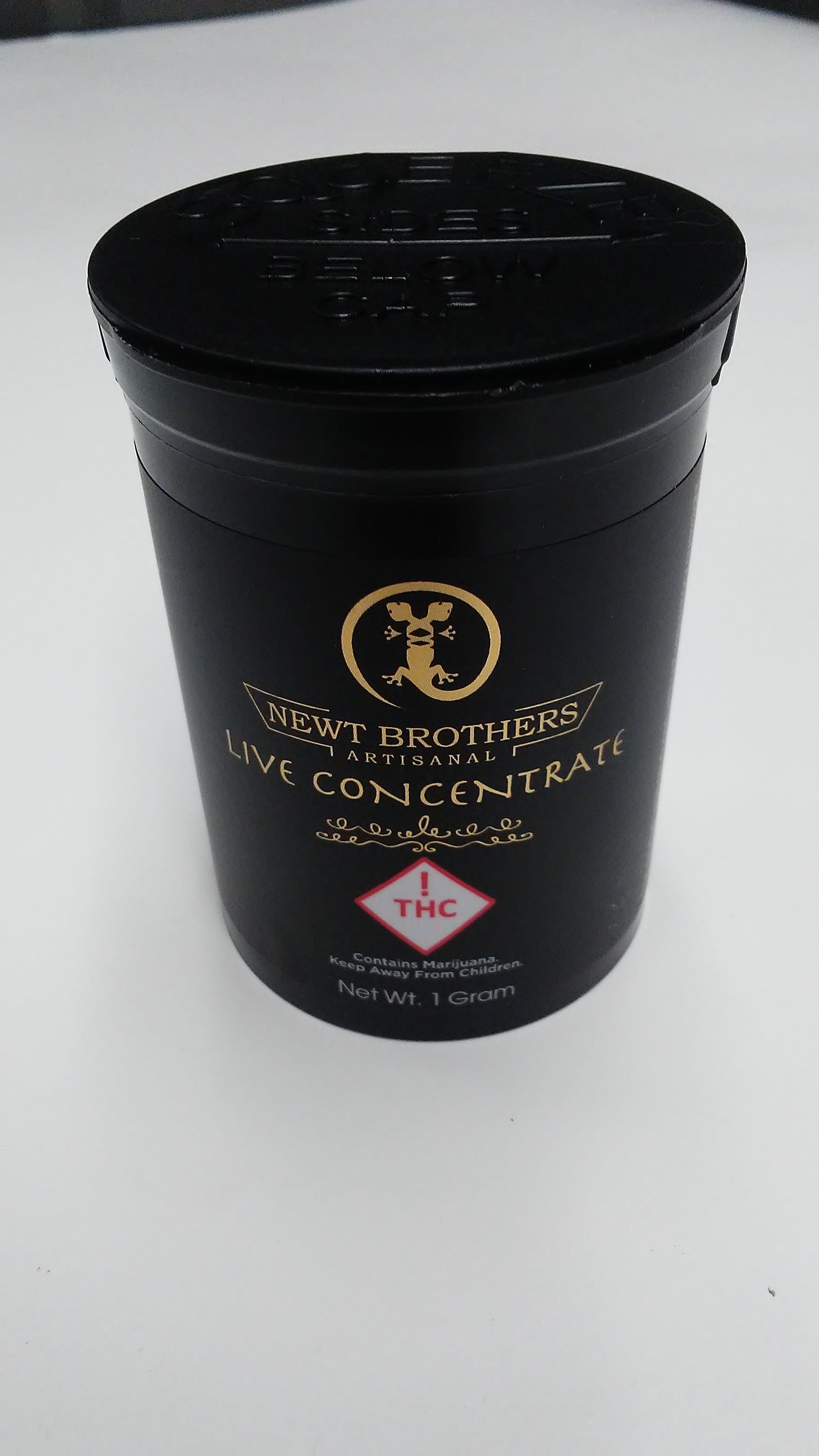 concentrate-newt-brothers-live-concentrates