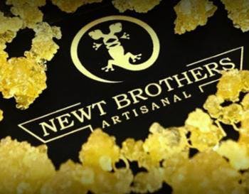 Newt Brothers Live Resin - Banana Brain