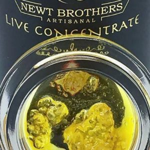 Newt Brothers Live SAUCE