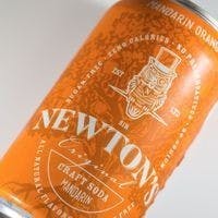 Newton's Soda 50mg - Mandarin Orange