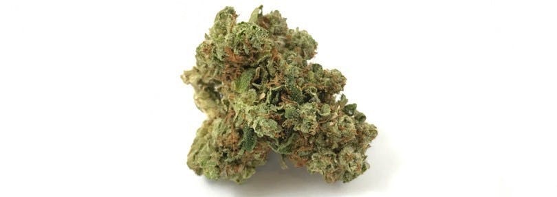 marijuana-dispensaries-6120-s-broadway-los-angeles-next-level-og
