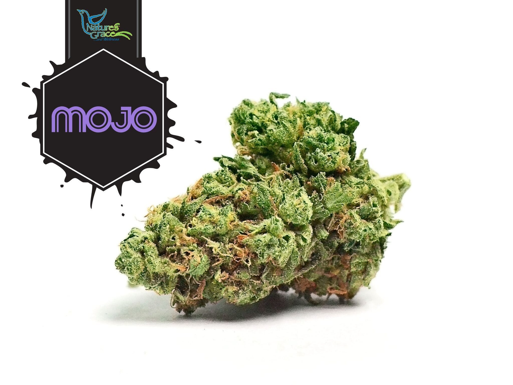 marijuana-dispensaries-628-e-adams-st-springfield-ng-mojo-1g