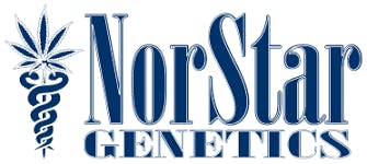 NorStar Genetics Seeds - Regular 10 pack