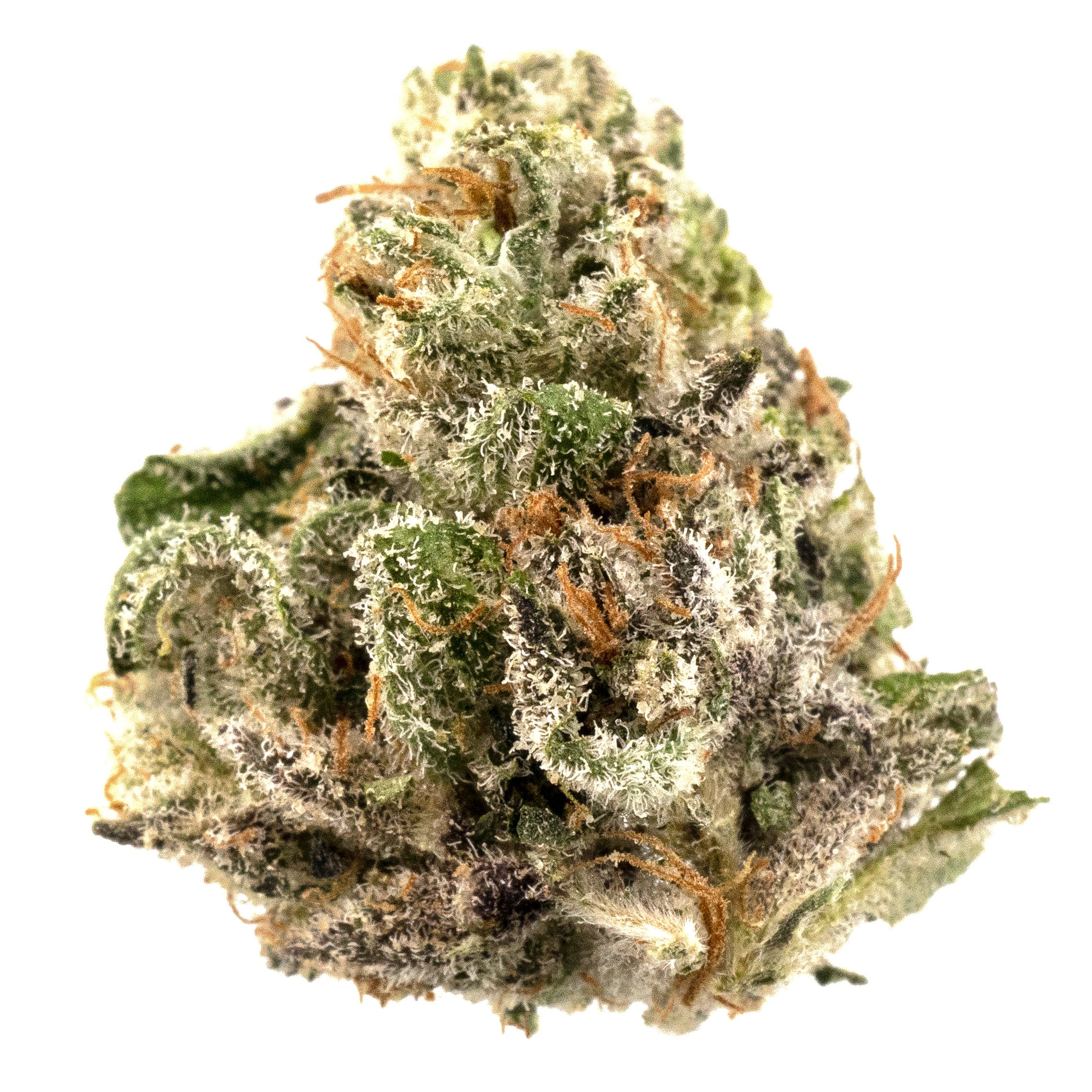 North Country Pharms: Sour Power OG