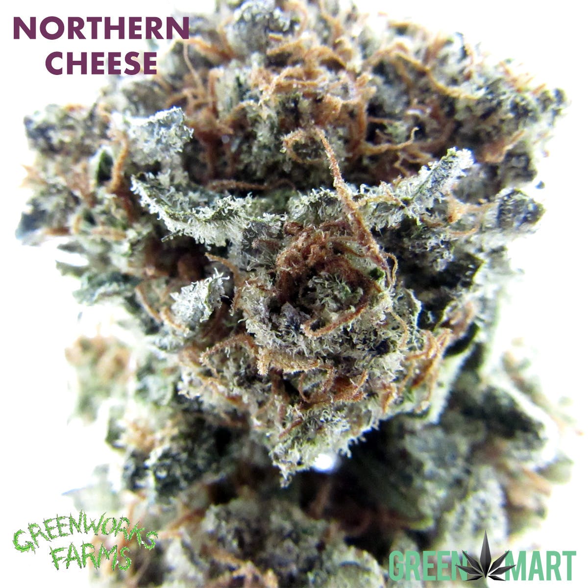 Northern Cheese