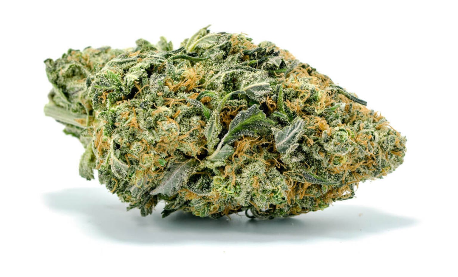 marijuana-dispensaries-7520-foothill-blvd-tujunga-northern-lights-5g-40-55