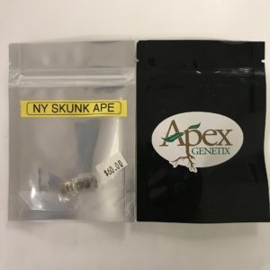 NY Skunk Ape