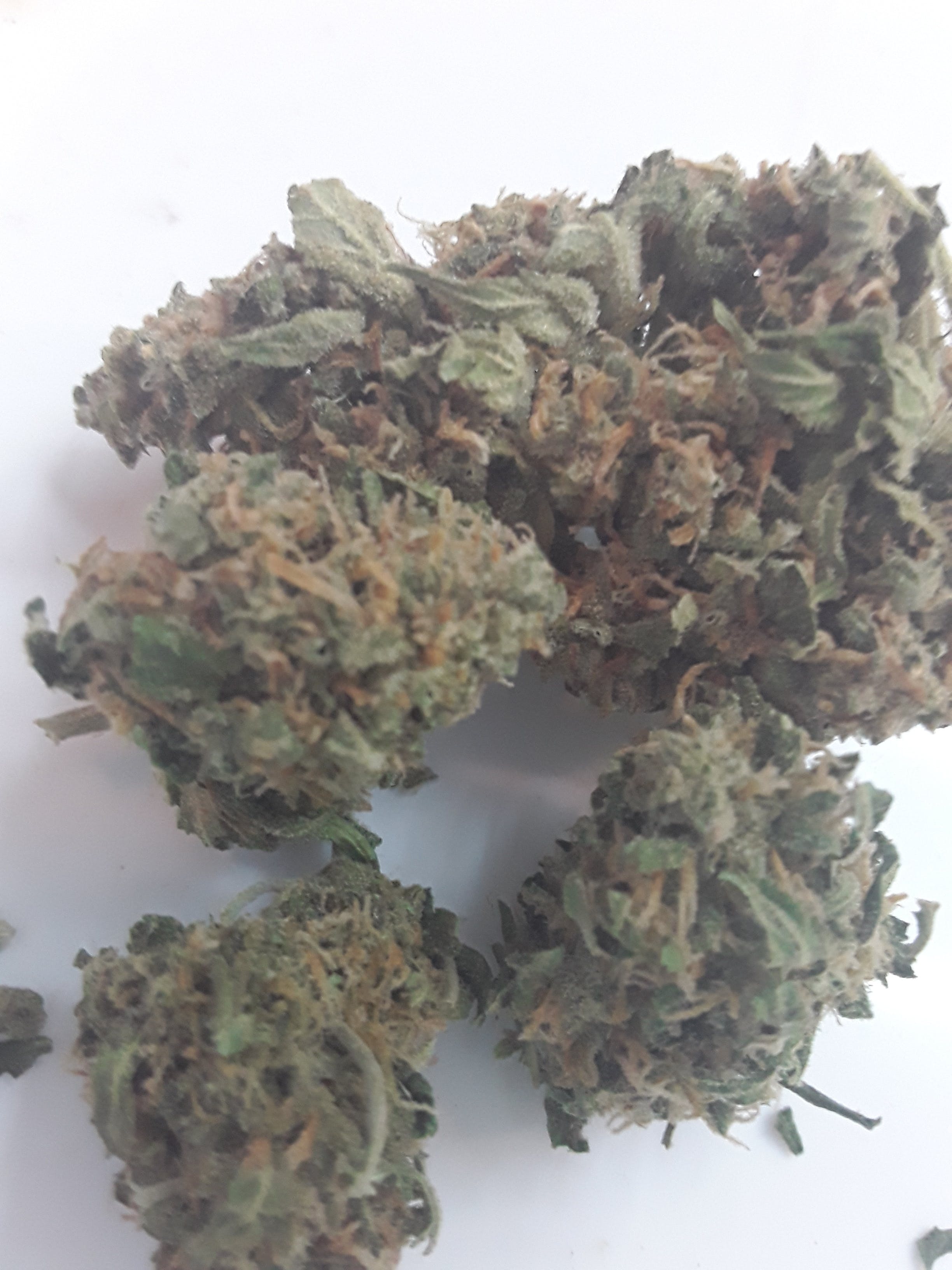 marijuana-dispensaries-ascend-cannabis-co-in-denver-nyc-diesel