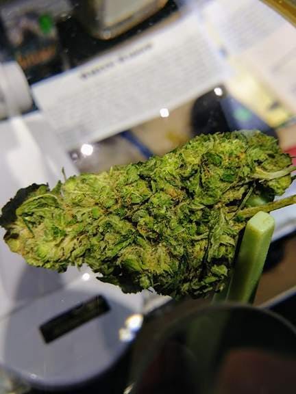 marijuana-dispensaries-pikes-peak-cannabis-caregivers-in-colorado-springs-nycd