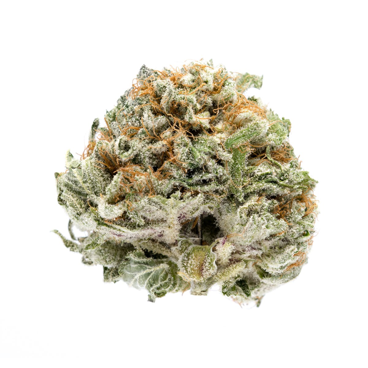 marijuana-dispensaries-prc-221-inc-in-mount-vernon-obama-kush-heavenly-buds