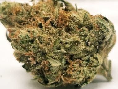marijuana-dispensaries-1150-n-1st-st-suite-b1-dixon-occidental-hills-rock-og-21-25-thc