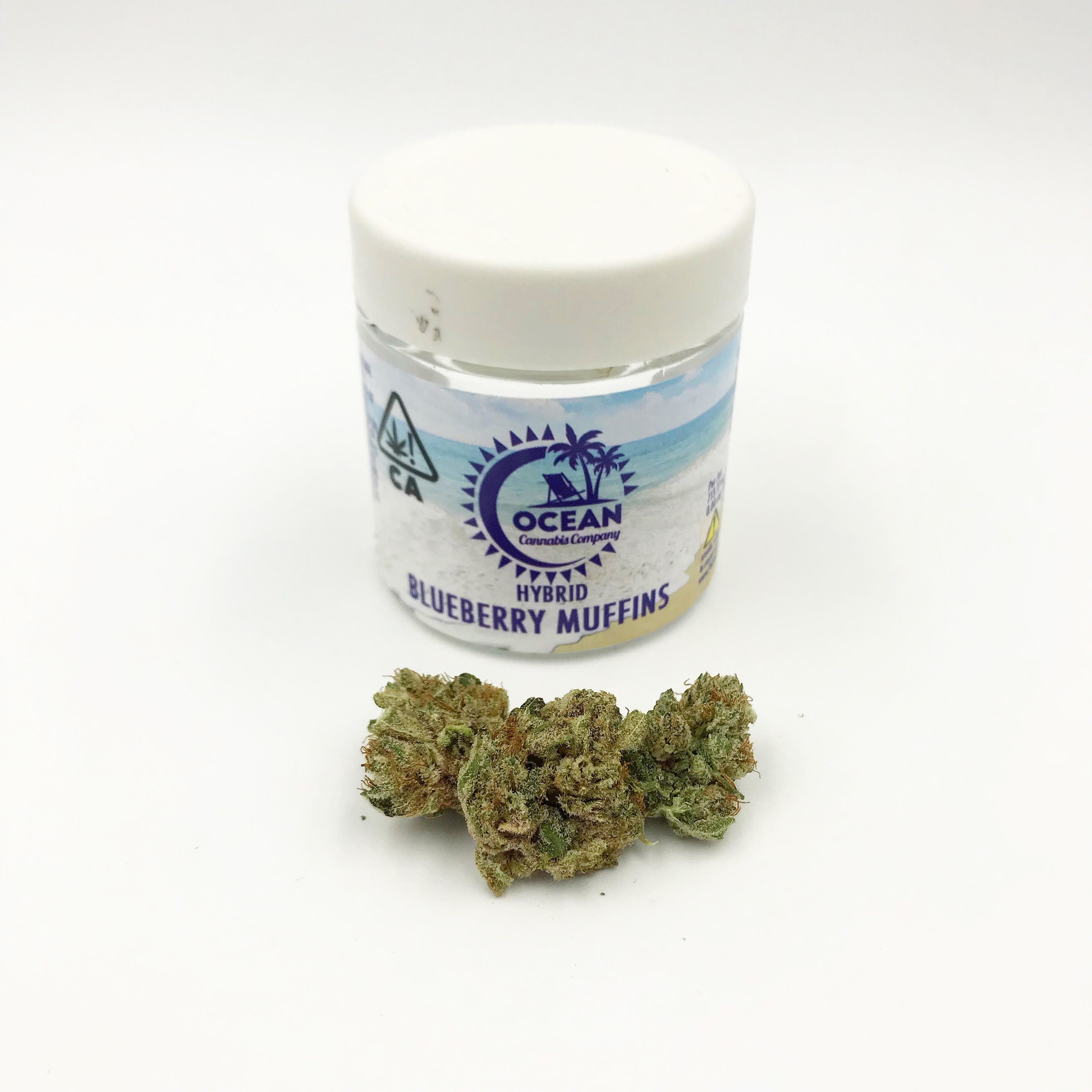 Ocean Cannabis Co. - Blueberry Muffin