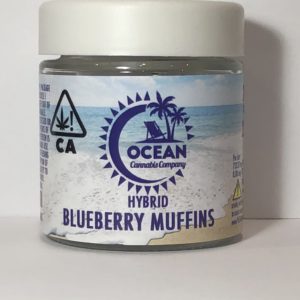 Ocean Cannabis Company - Blueberry Muffins