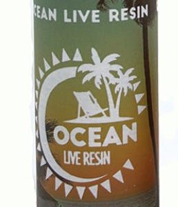 Ocean Live Resin Jack Herer