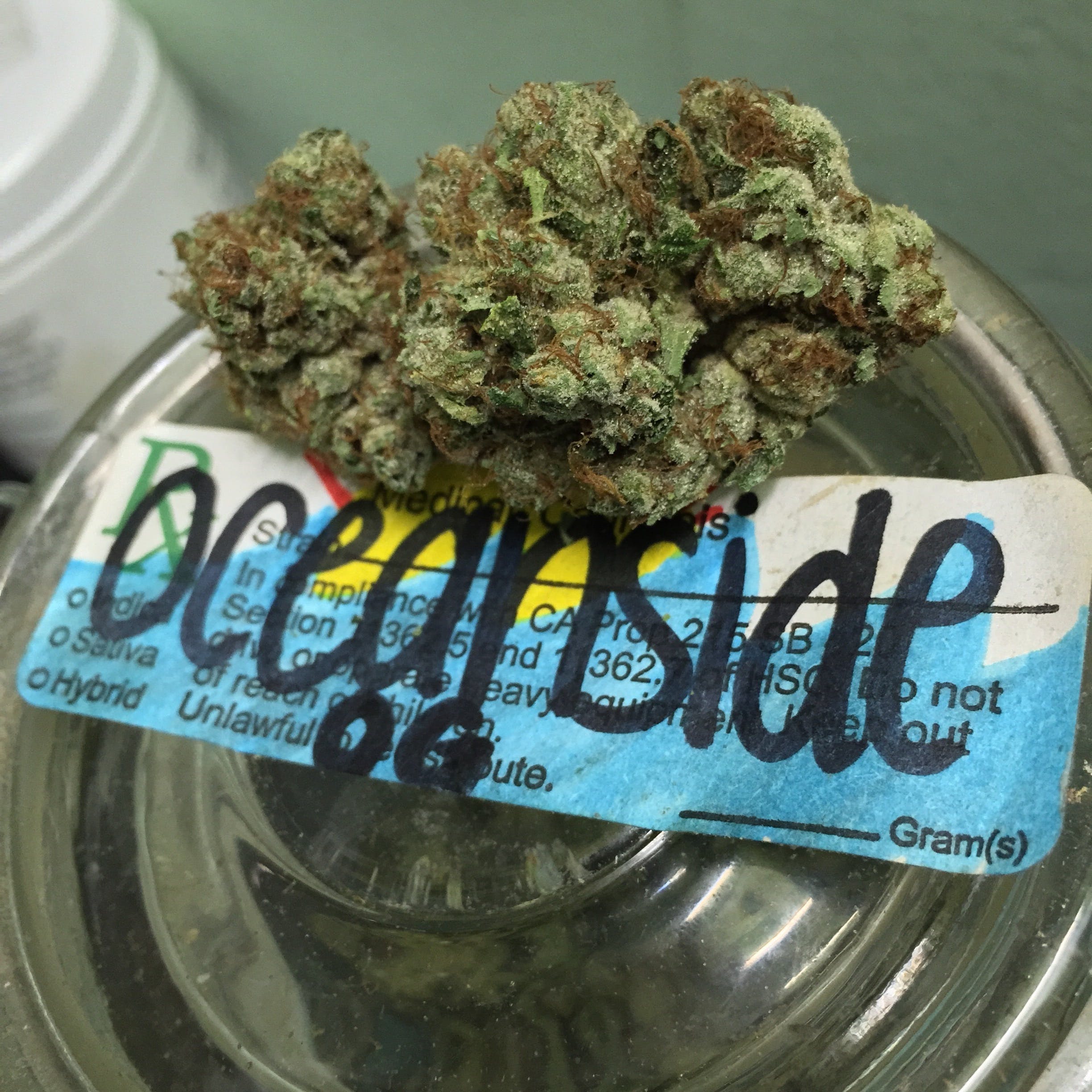 marijuana-dispensaries-oceanside-collective-in-los-angeles-oceanside-og