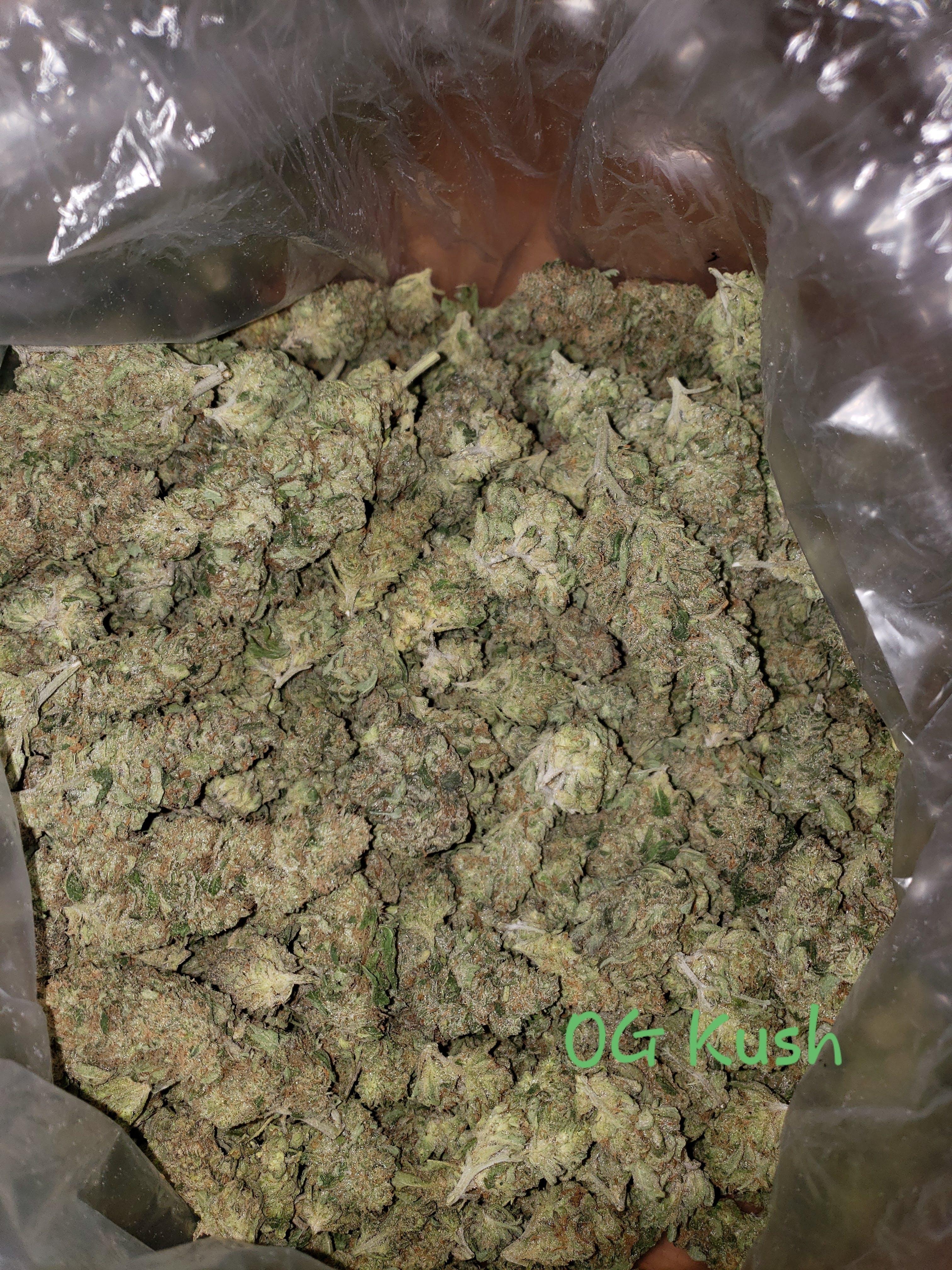 marijuana-dispensaries-466-west-main-st-trinidad-og-kush-26-94-25