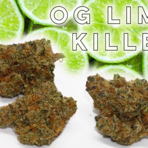 OG Lime Killer - from Curio