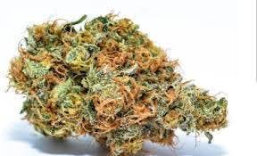 marijuana-dispensaries-2045-sheridan-blvd-edgewater-og-lime-killer