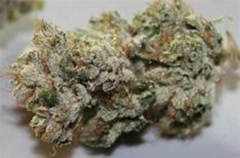 marijuana-dispensaries-1775-newport-blvd-costa-mesa-og-raskal-fire-mint-exclusive