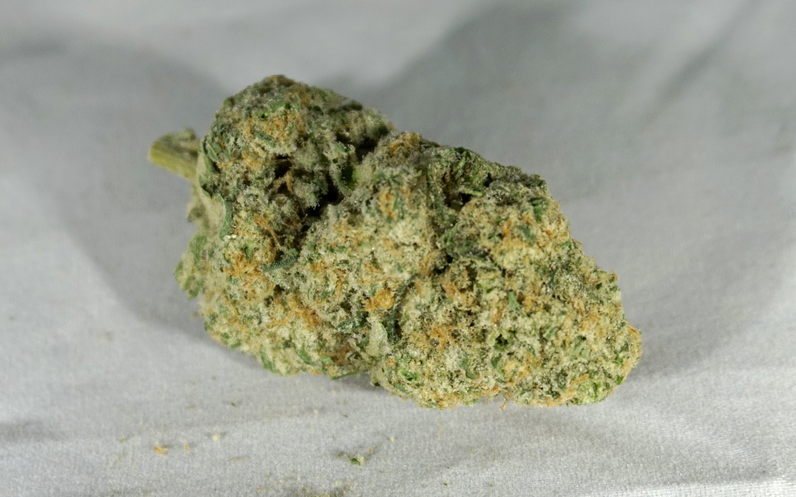 marijuana-dispensaries-5550-joliet-st-denver-og-shine