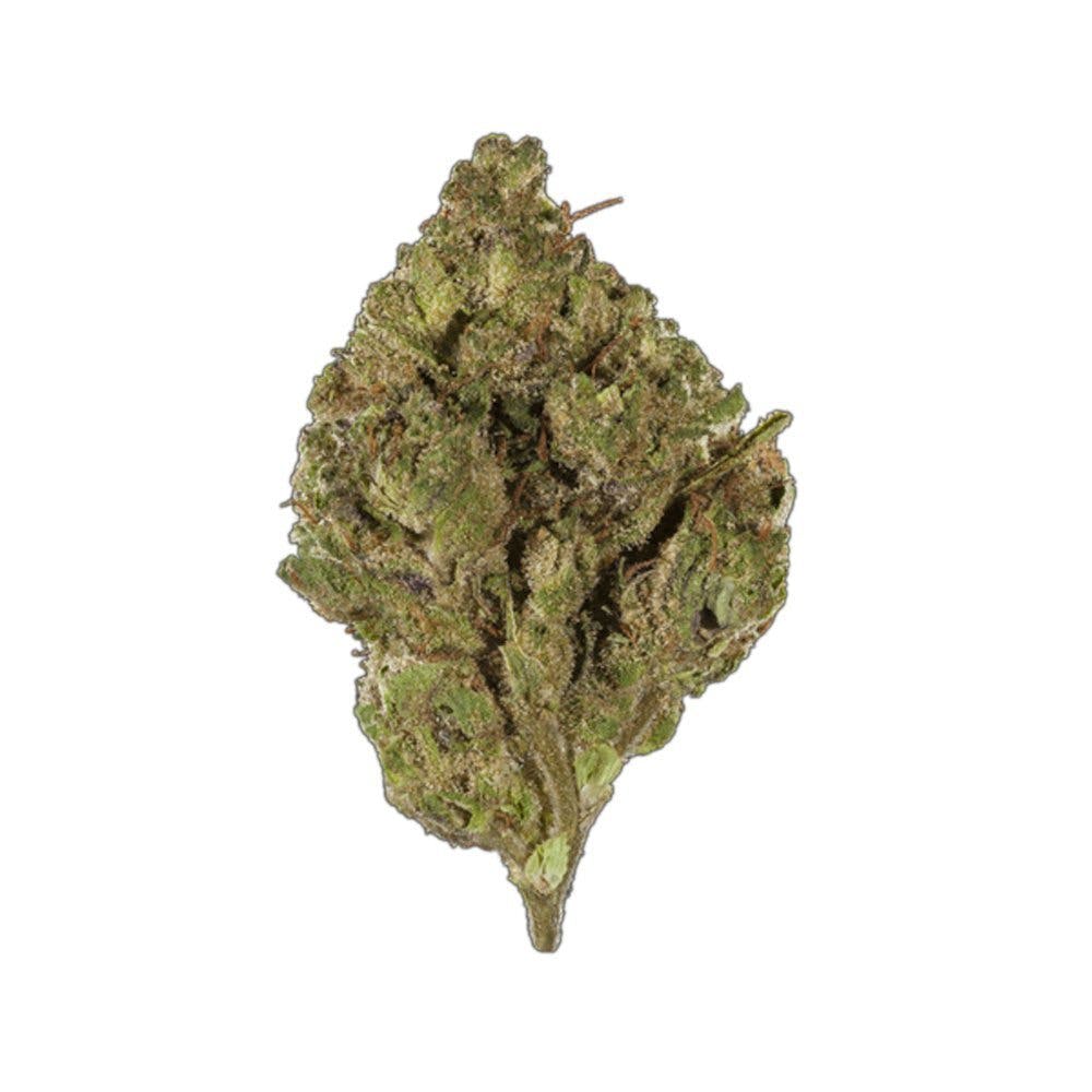 marijuana-dispensaries-higher-grade-recreational-in-denver-og-sin