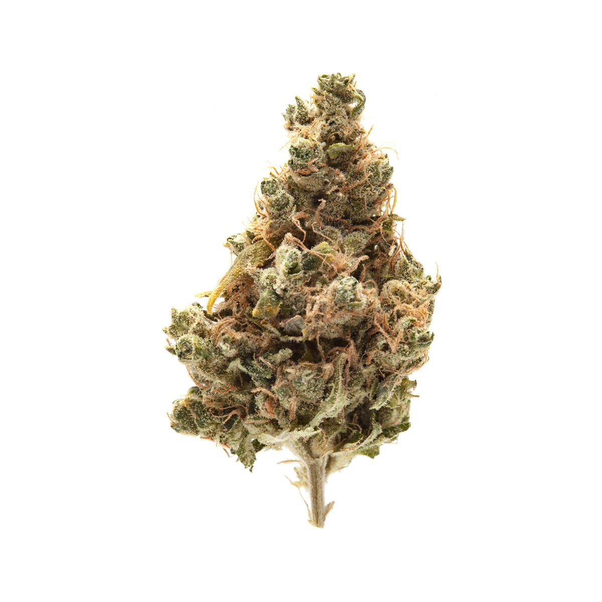 marijuana-dispensaries-natures-cure-dispensary-in-oklahoma-city-og-sour