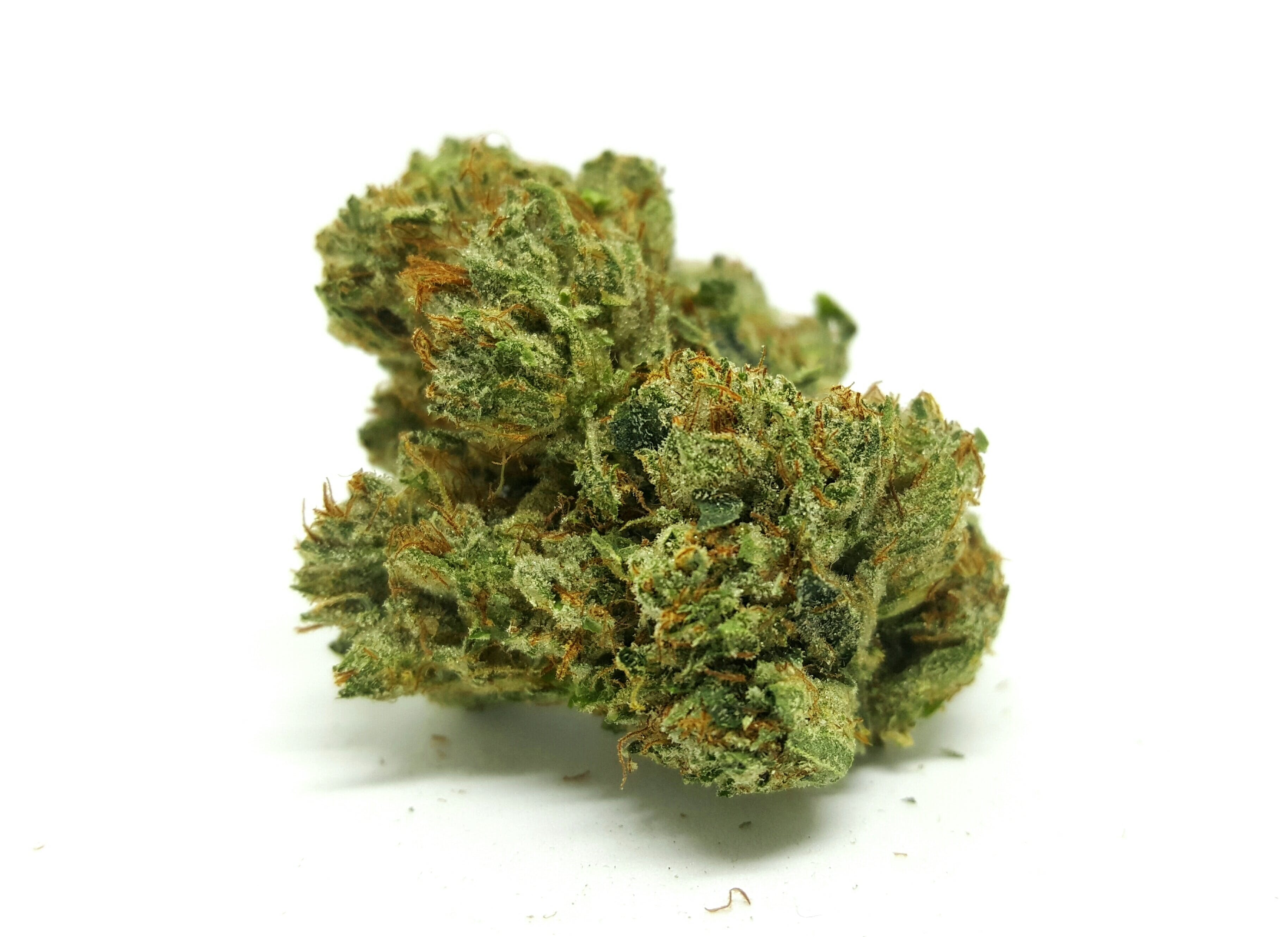 marijuana-dispensaries-2618-e-foothill-blvd-unit-c-san-bernardino-og-story-by-cali-kush-farm-exclusive