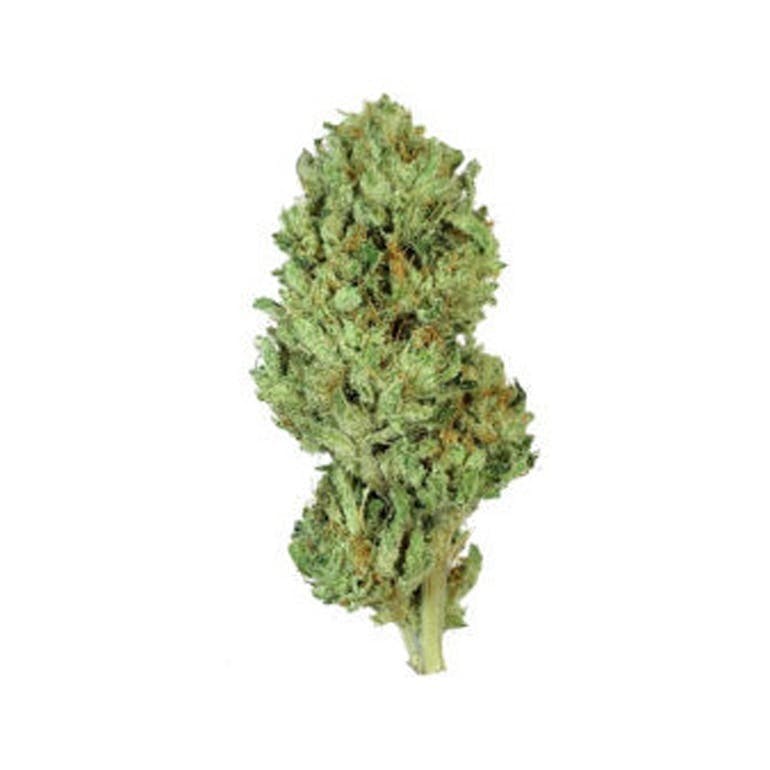 marijuana-dispensaries-50735-hwy-101-bandon-ogre-25-39-25thc-outdoor-grown-rogue
