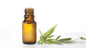 marijuana-dispensaries-29-franklin-st-needham-heights-oil-tincture-5ml-cbd-no-flavor