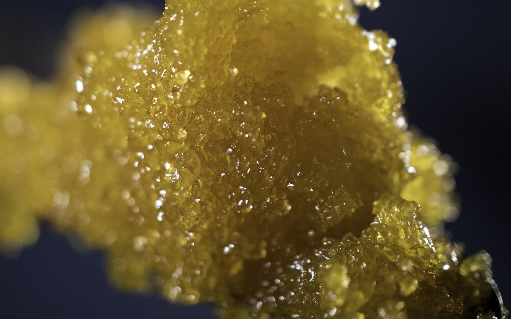 concentrate-olio-extracts-live-resin