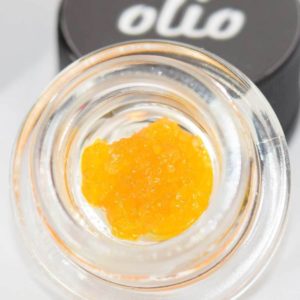 Olio Glue Live Sauce