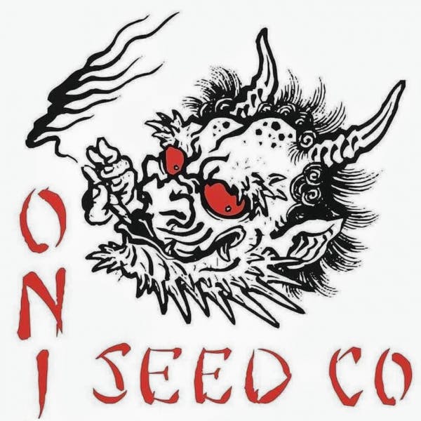 Oni Seed Co. - Tropicana Haze (91 Haze)