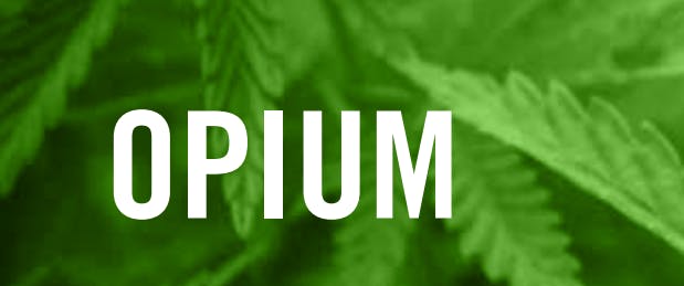 marijuana-dispensaries-pine-street-cannabis-company-in-soldotna-opium