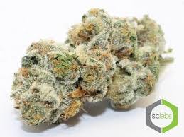 marijuana-dispensaries-13659-magnolia-ave-corona-orange-cookiesz-premium-5g-40-2445