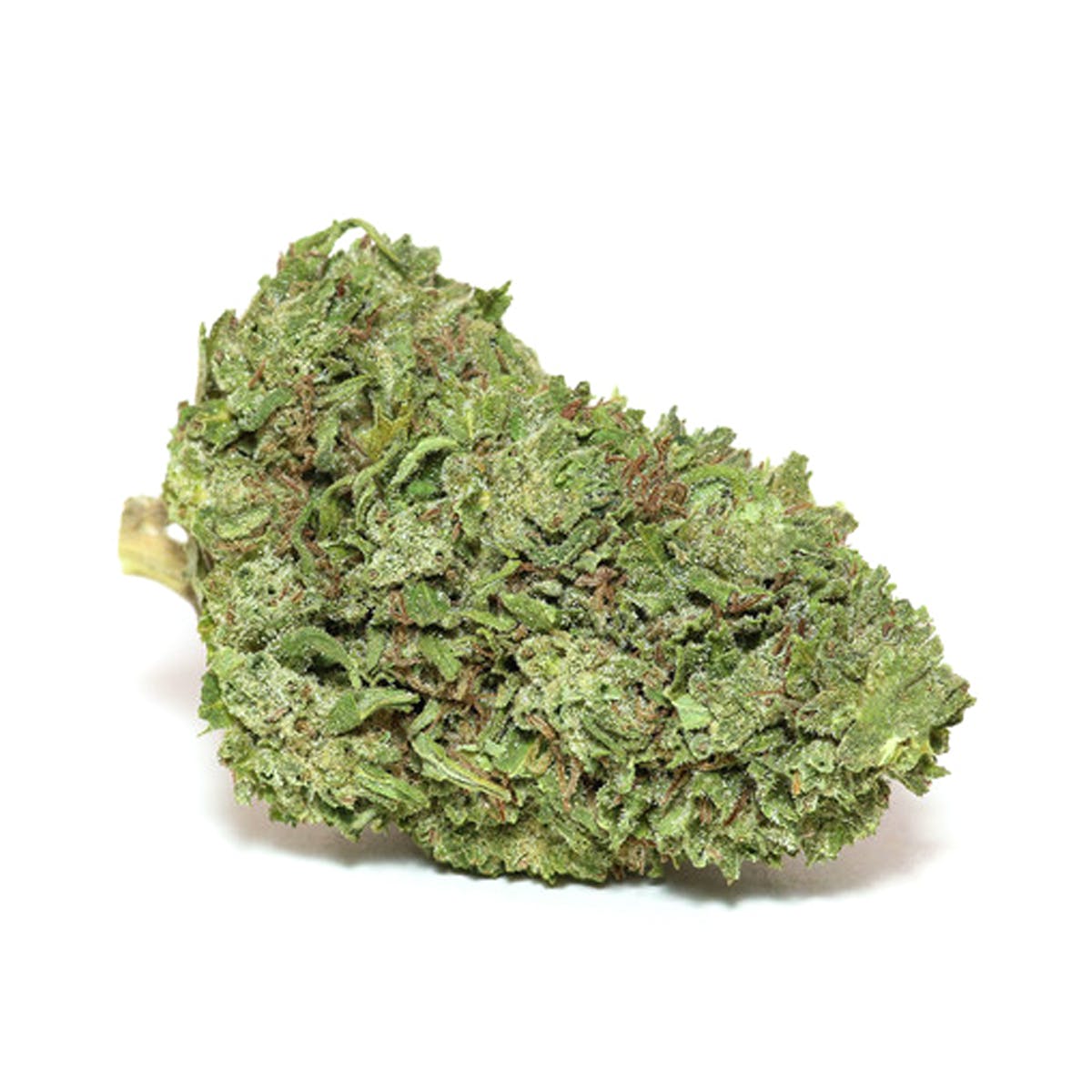 marijuana-dispensaries-elevate-in-sylmar-orange-creamsicle