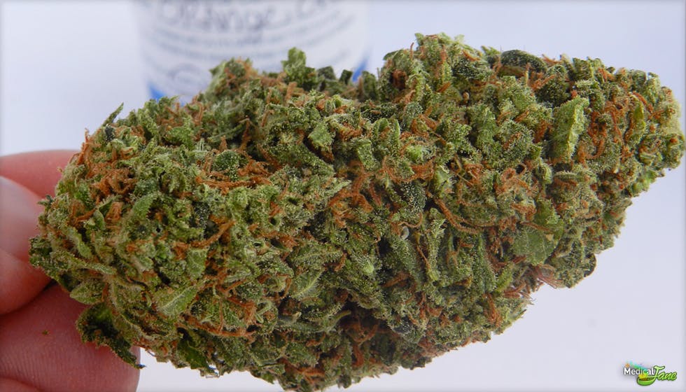 marijuana-dispensaries-legal-marijuana-superstore-in-port-orchard-orange-crush