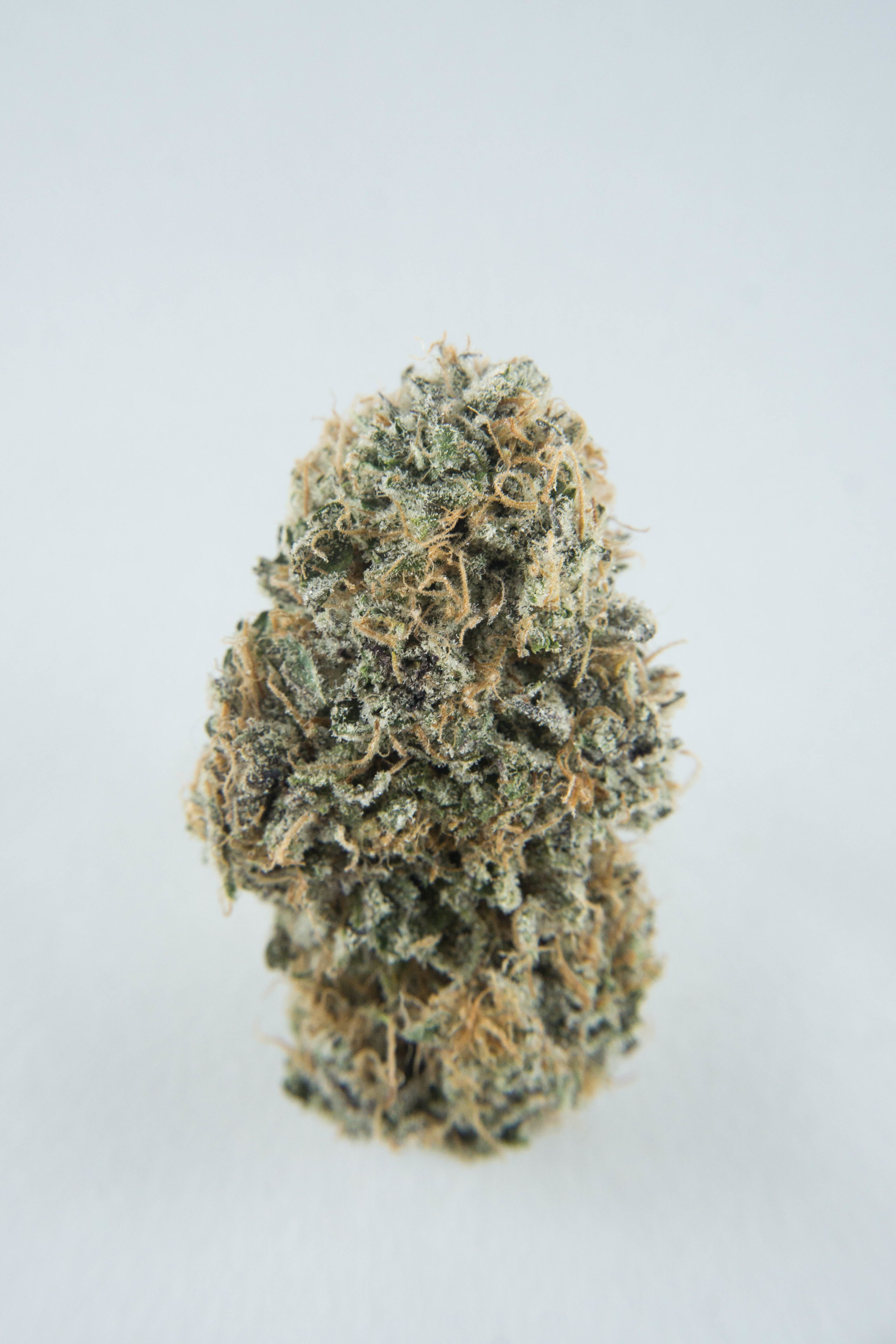 marijuana-dispensaries-green-degree-kgb-in-wasilla-orange-dream