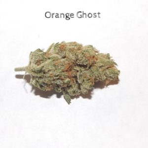 Orange Ghost OG